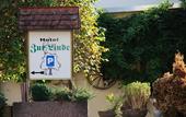 Туры в отель Hotel Zur Linde