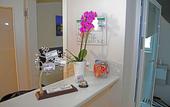 Туры в отель Hotel Jeta