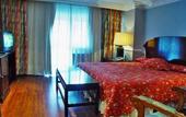 Туры в отель Hotel Rice Maria Luisa