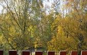 Туры в отель Okotel Hamburg