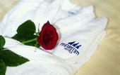 Туры в отель Maritim Hotel Bad Salzuflen
