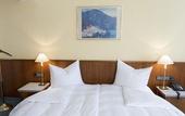 Туры в отель PLAZA Hotel Buchhorner Hof