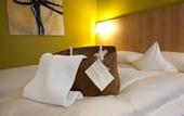Туры в отель Hotel Schepers