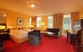 Туры в отель Hotel Rheinfels