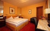 Туры в отель Hotel Rheinfels