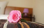 Туры в отель Hotel Stadt Beelitz