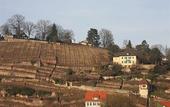 Туры в отель Hotel Am Schelztor