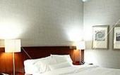 Туры в отель Hotel Rosengarten Kehl