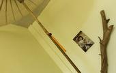 Туры в отель Lollis Homestay - Hostel
