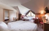 Туры в отель Hotel Hachinger Hof