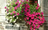 Туры в отель ACHAT Hotel Monschau