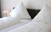Туры в отель Hotel Restaurant Doppeladler