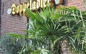 Туры в отель Hotel Restaurant Doppeladler