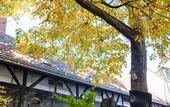 Туры в отель RheinRiver Guesthouse - Direkt am Rhein