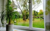 Туры в отель RheinRiver Guesthouse - Direkt am Rhein