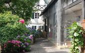 Туры в отель RheinRiver Guesthouse - Direkt am Rhein