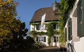 Туры в отель RheinRiver Guesthouse - Direkt am Rhein