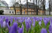 Туры в отель Schloss Hotel Dresden-Pillnitz