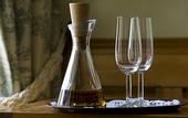 Туры в отель Schloss Hotel Dresden-Pillnitz