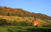 Туры в отель Schloss Hotel Dresden-Pillnitz