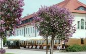 Туры в отель Schloss Hotel Dresden-Pillnitz