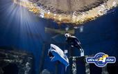 Туры в отель Friendly City Hotel Oktopus