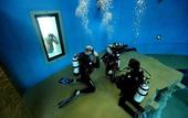 Туры в отель Friendly City Hotel Oktopus