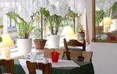 Туры в отель Hotel Schwarzer Bar