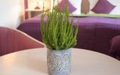 Туры в отель Malteser Komturei Hotel / Restaurant