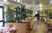 Туры в отель Hotel Vitalesca