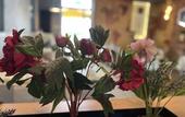 Туры в отель Hotel Frederikspark
