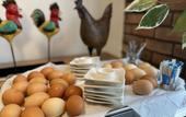 Туры в отель Hotel Frederikspark