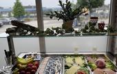 Туры в отель Hotel Frederikspark