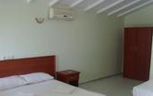 Туры в отель Pelin Beach