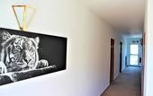 Туры в отель Hotel Alsterquelle