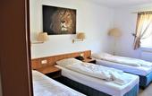 Туры в отель Hotel Alsterquelle
