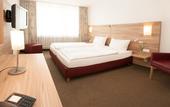 Туры в отель Hotel Schutzenburg