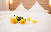Туры в отель Hotel Schutzenburg
