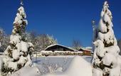 Туры в отель Hotel Forstmeister