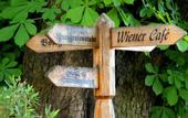 Туры в отель Romantik Hotel Burgkeller & Residenz Kerstinghaus