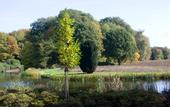 Туры в отель Romantik Parkhotel Wasserburg Anholt