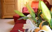 Туры в отель Hotel Villa Vital