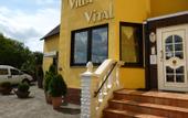 Туры в отель Hotel Villa Vital