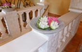 Туры в отель Hotel Villa Vital