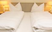 Туры в отель Hotel-Restaurant Amadeus