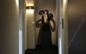 Туры в отель Hotel am Rothenbaum