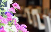 Туры в отель Hotel Marktkieker