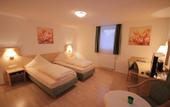 Туры в отель Hotel Abenstal