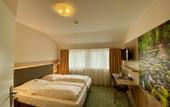 Туры в отель Hotel Romerhof