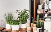 Туры в отель Numa Munich Munico